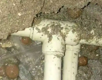 仲巴测漏水多少钱