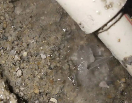 仲巴测漏水电话号码