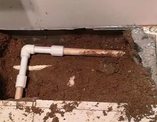 仲巴测漏水哪家好