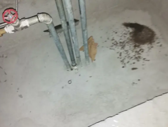 仲巴卫生间测漏水价格明细