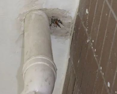 仲巴漏水检测哪家好